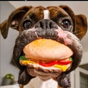 Meet your Posher, Chelle